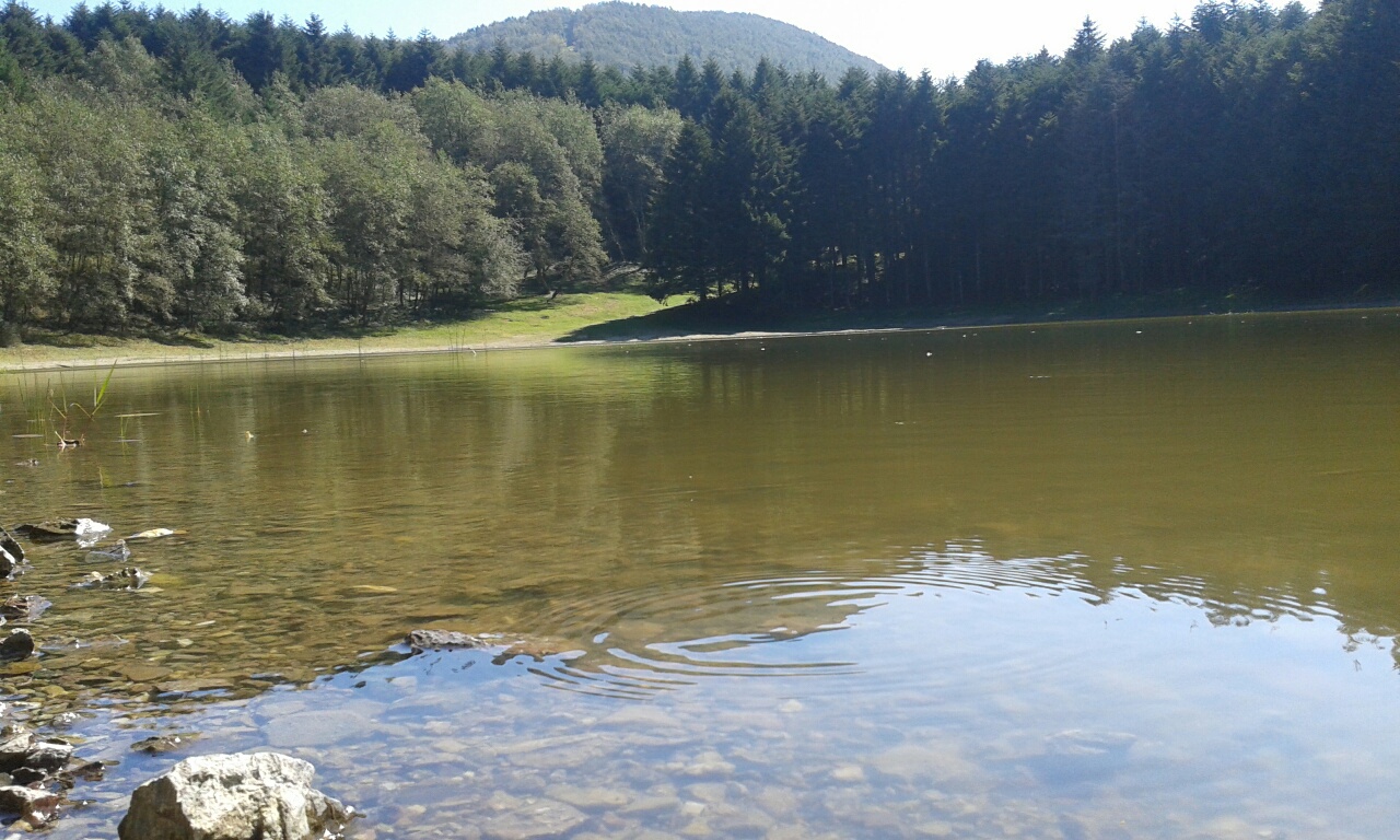 foto laghetto