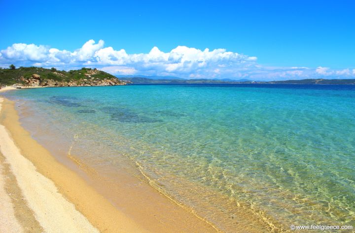 mare