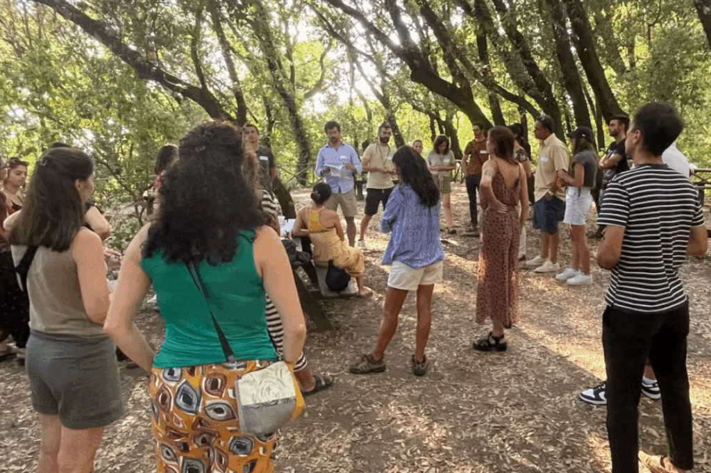 HEADER nodi itaca 4