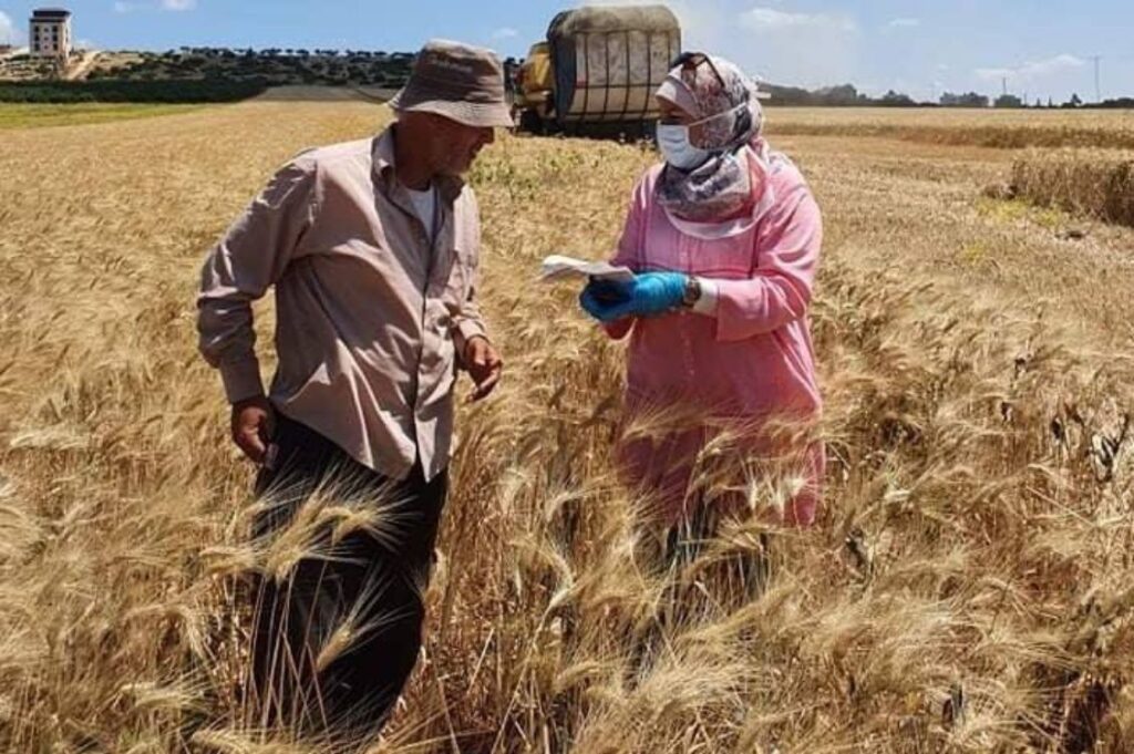 contadini palestinesi