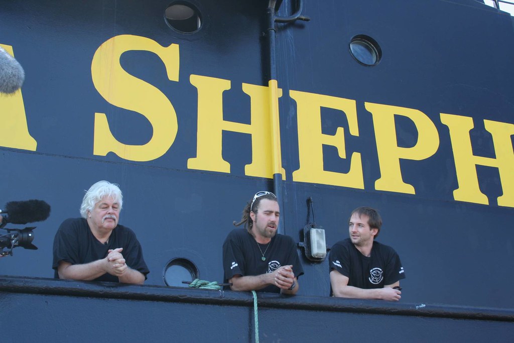 paul watson