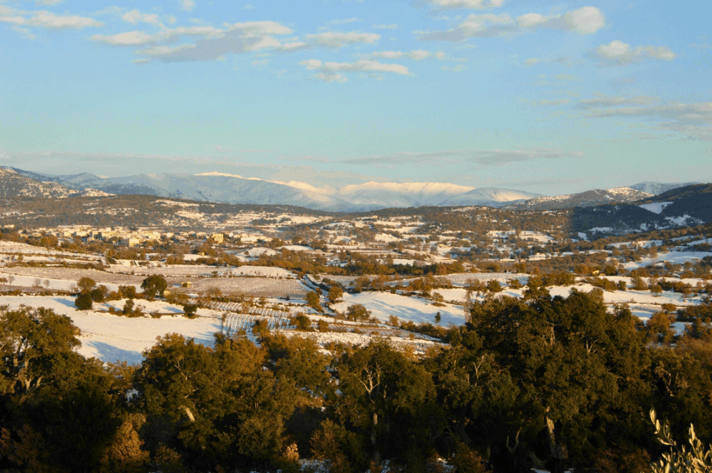 HEADER atzara1