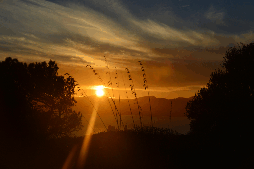 HEADER solstizio 3