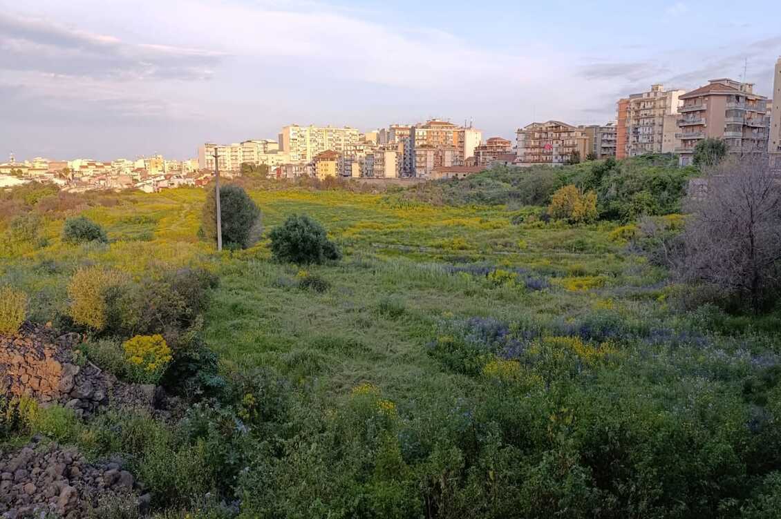 orti della susanna cover 1