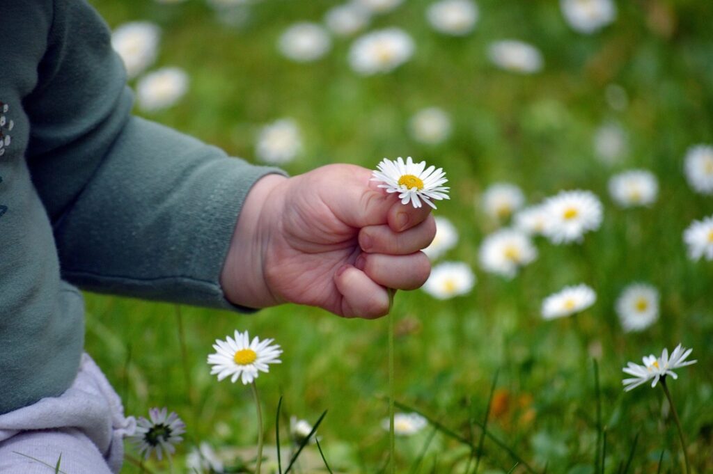 Progettare il futuro ma insieme