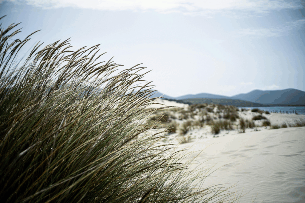 HEADER migrazioni 1