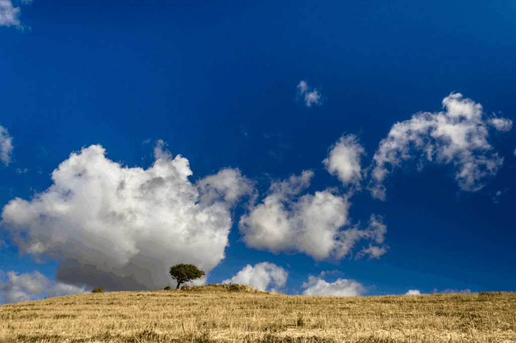 HEADER migrazioni 2
