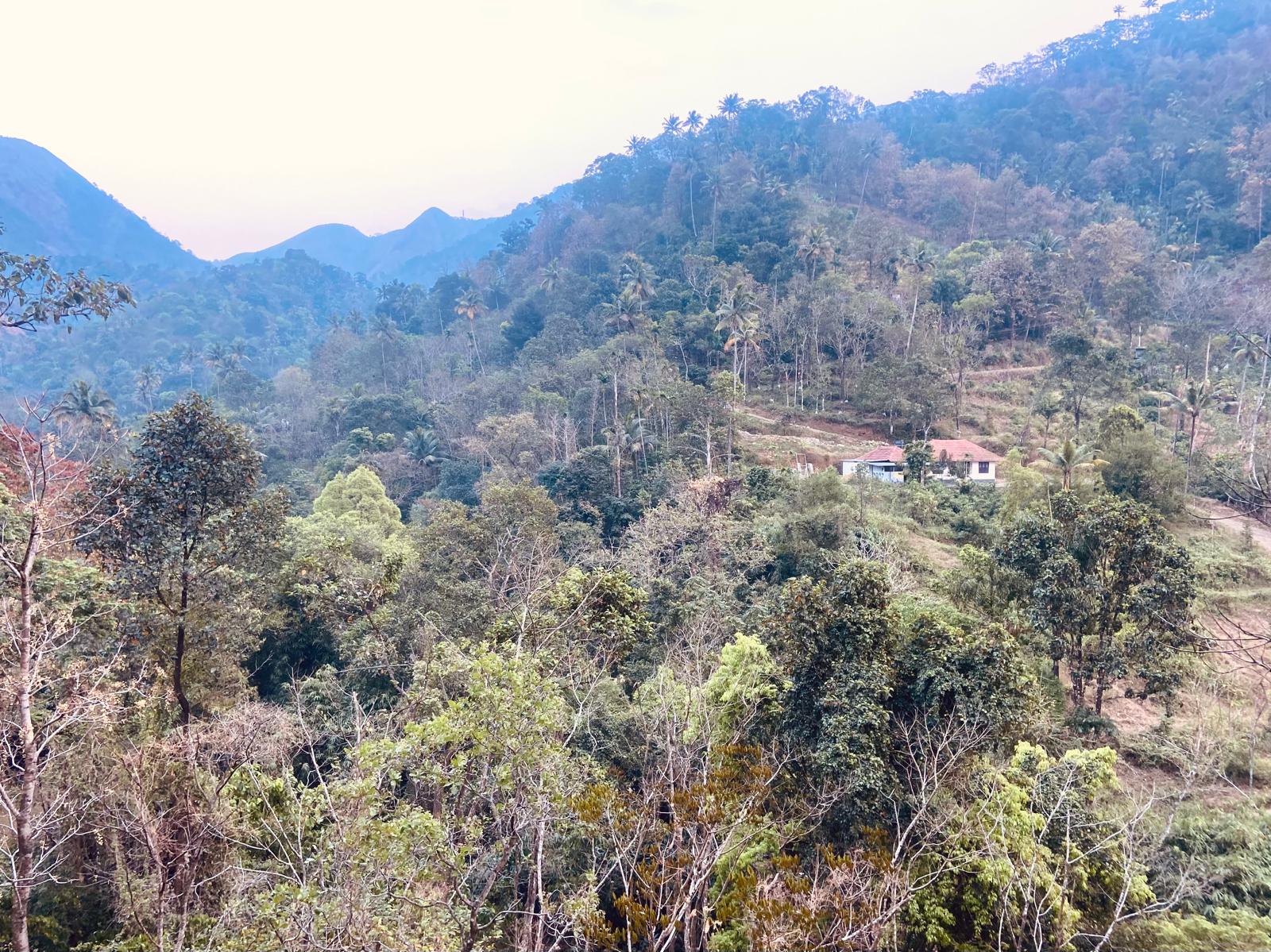 IMG 20260118 WA0020