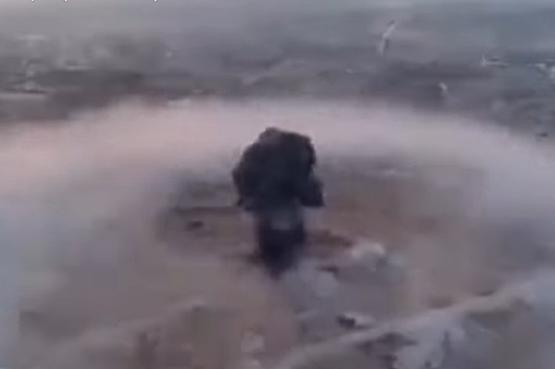 palestina vacuum bombs