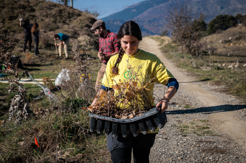 food forest