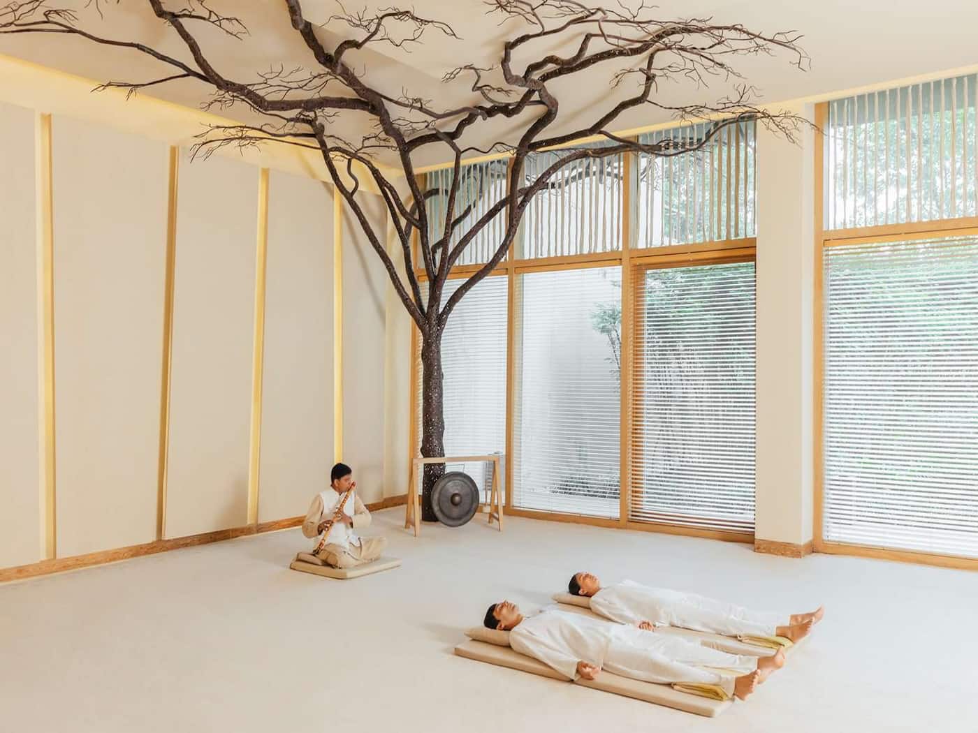 TAL wellness raag therapy six senses vana SIXSENSESVANA1024 5a724267d85a465590191483d0d2260f 2