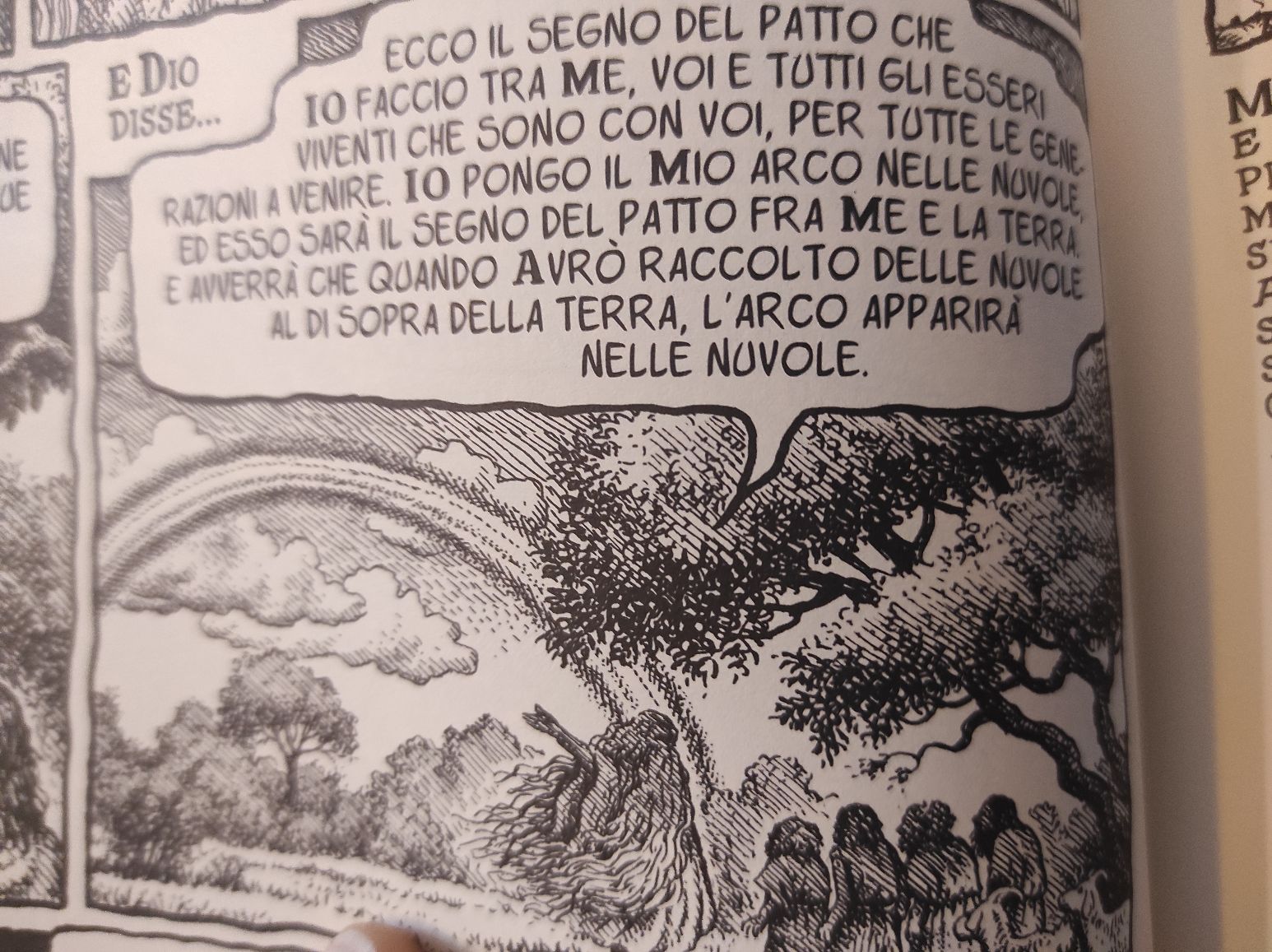 arcobaleno alleanza