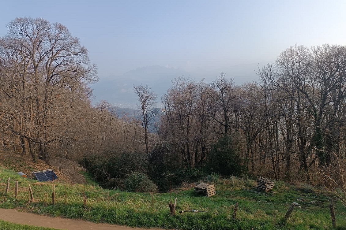 castagneto 1