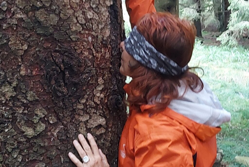 Forest Bathing 