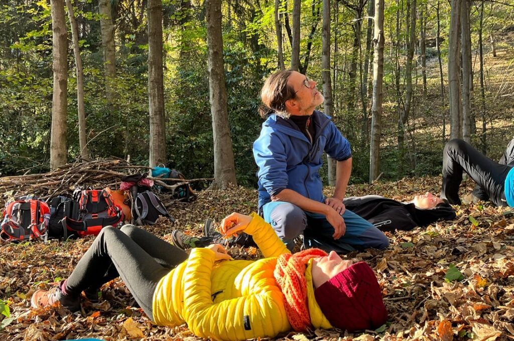 Forest Bathing 