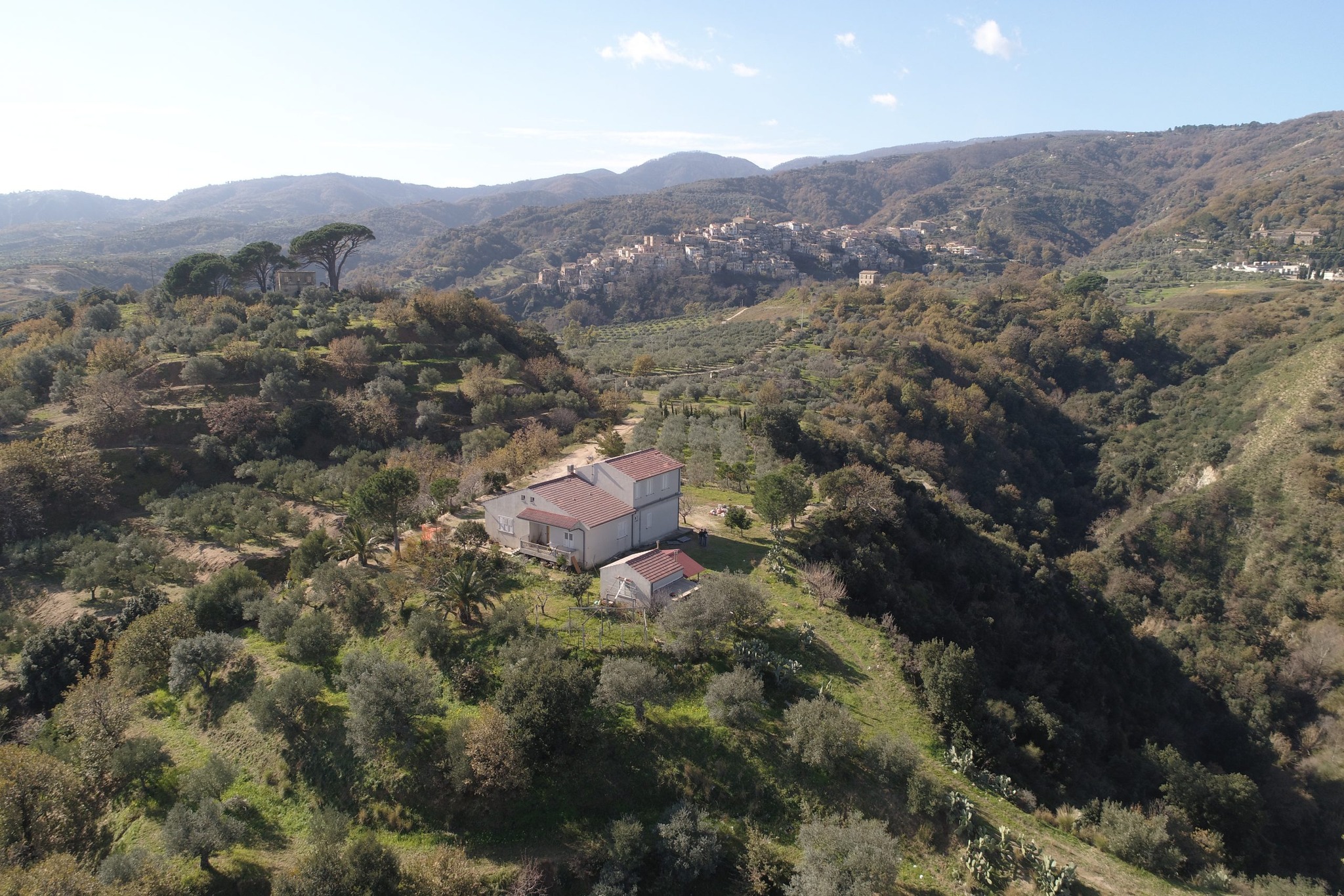 Terranima Overview