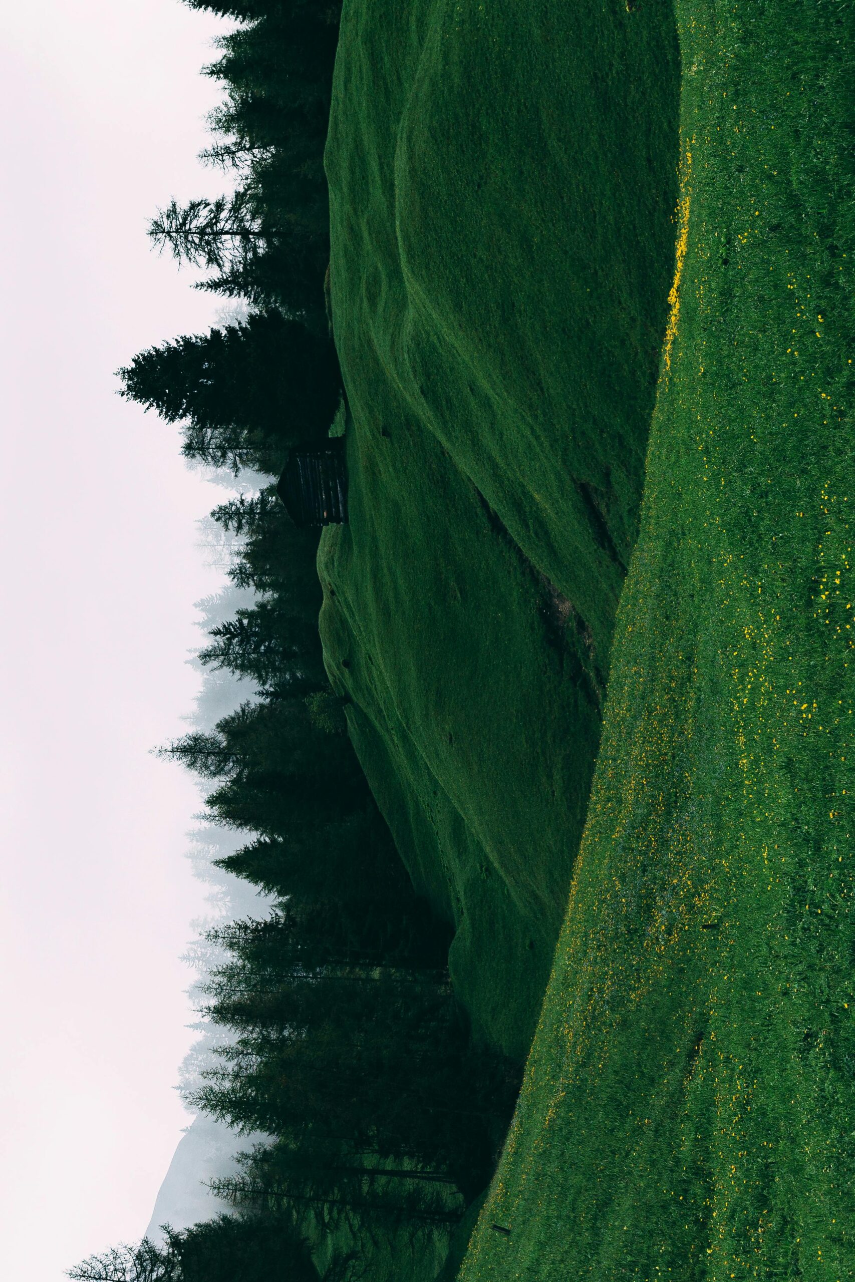 pexels eberhardgross 1287089 scaled