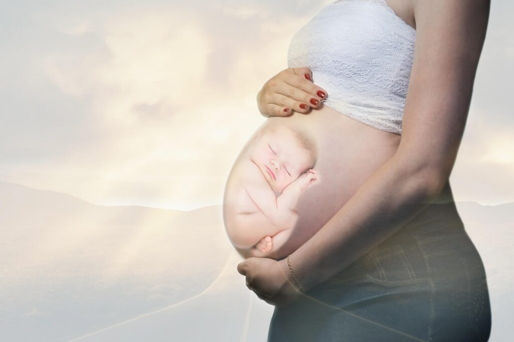 Placenta