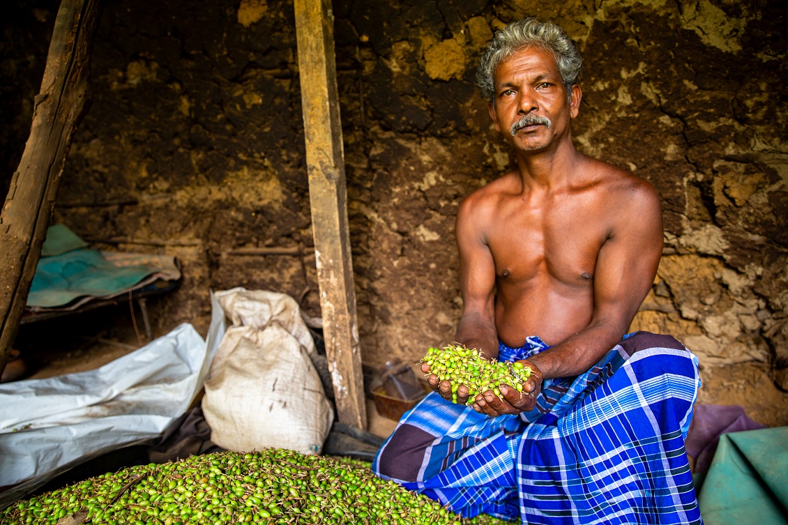 sri lanka 2