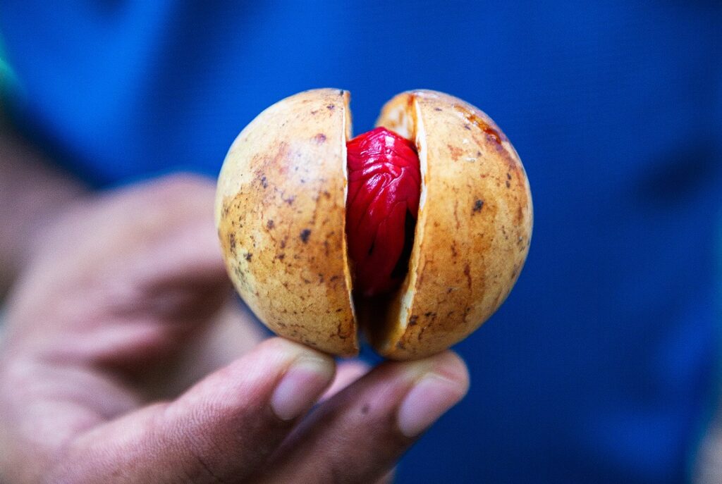 Sri Lanka 
