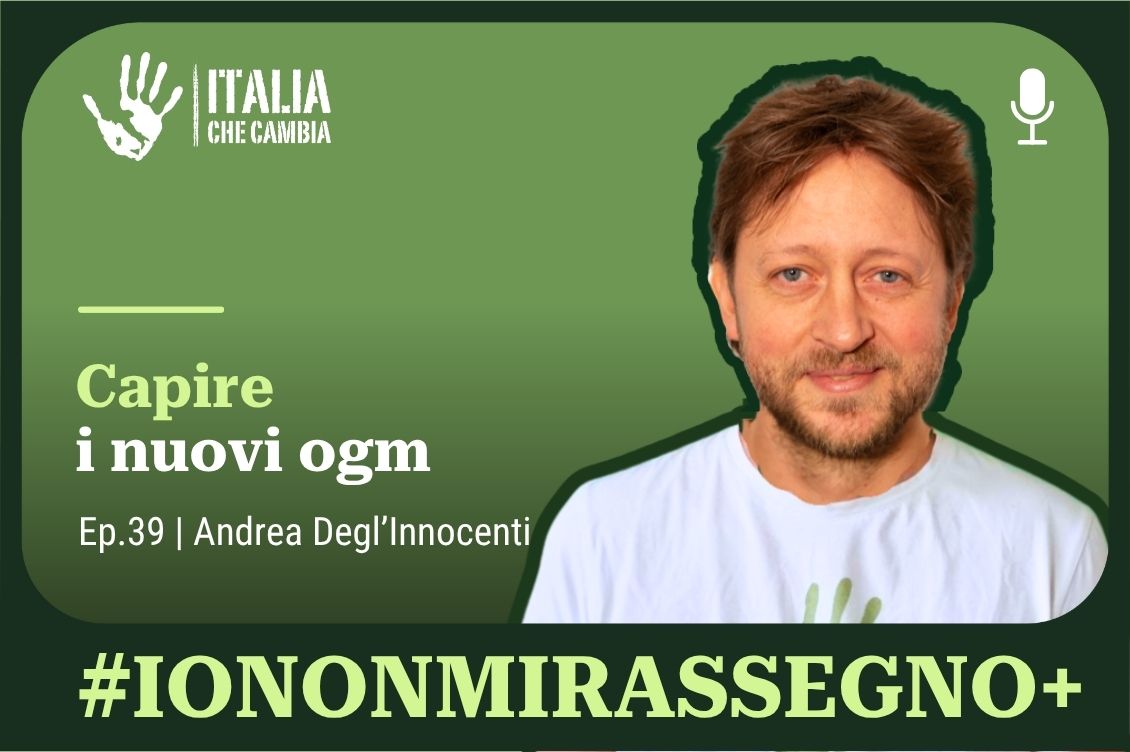 Ngt nuovi ogm