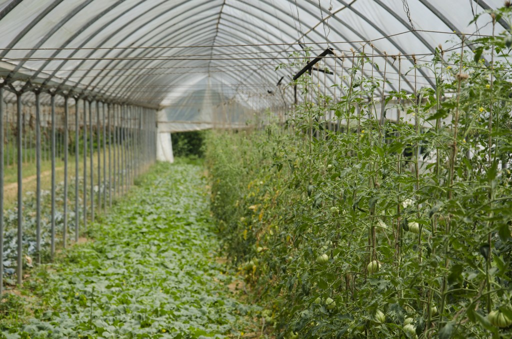 9 metodo manenti modo innovativo fare agricoltura 1487348356