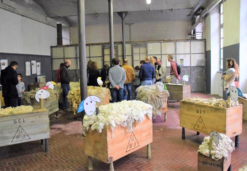 amici della lana villaggio operaio guarda futuro 1553762142