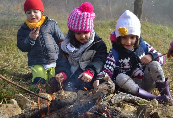 asilo nel bosco permanente