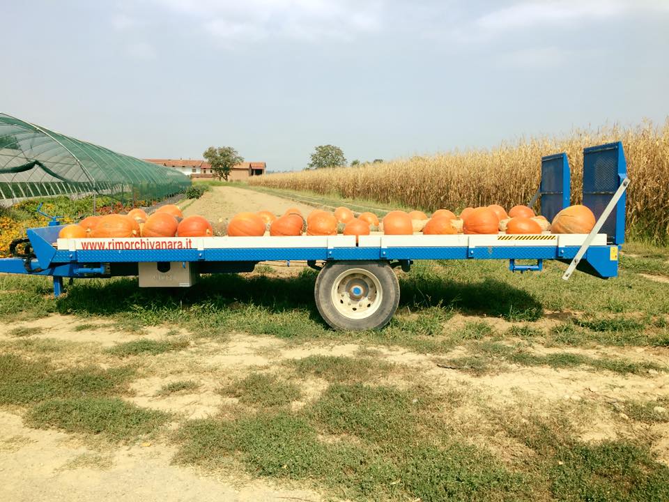 L’Azienda Agricola Emanuele Bono: prodotti naturali dal cuore della terra