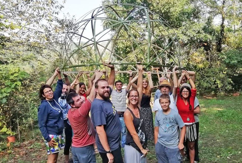 bambu pianta futuro nuova economia 1568273944