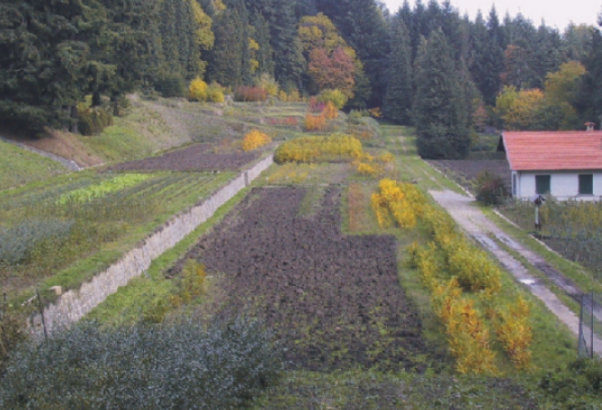 bando parco antiche cultivar