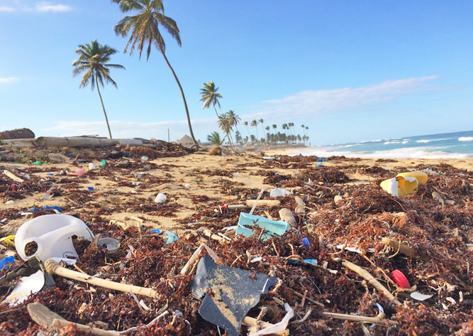 basta microplastiche nelle nostre acque biella petizione salvare pianeta 1557739045