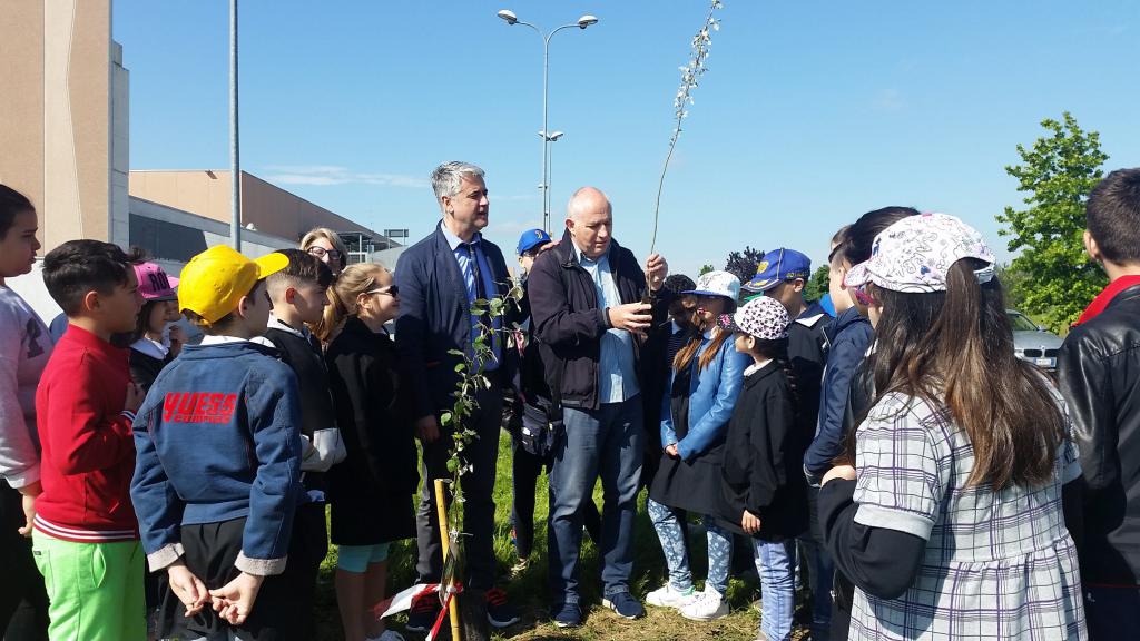 “Un bosco per la città”: sette classi piantano alberi ad Alessandria