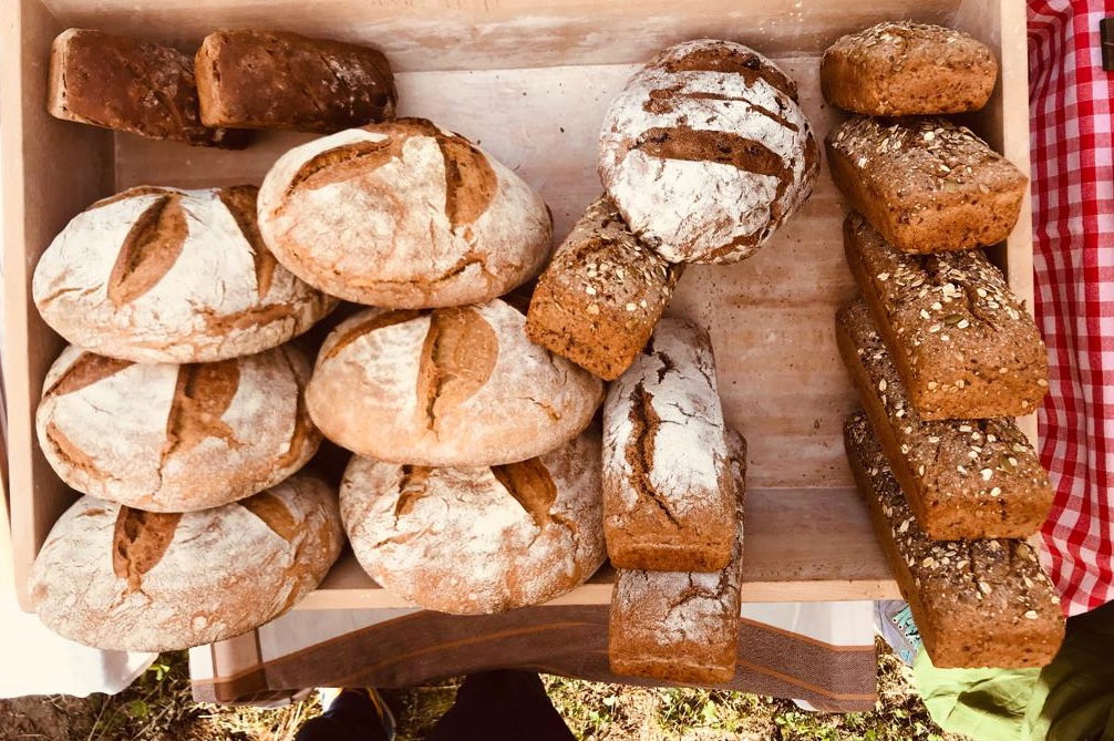 cambio vita ricomincio dal pane storia francesca paneurbano 1568160432