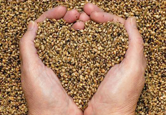 casa diffusa biodiversita agraria ricchezza salvaguardare agricoltura tradizionale 1556269166