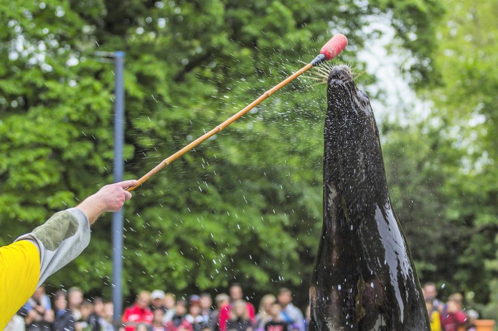 cuneo no sfruttamento animali nel circo 1551778447