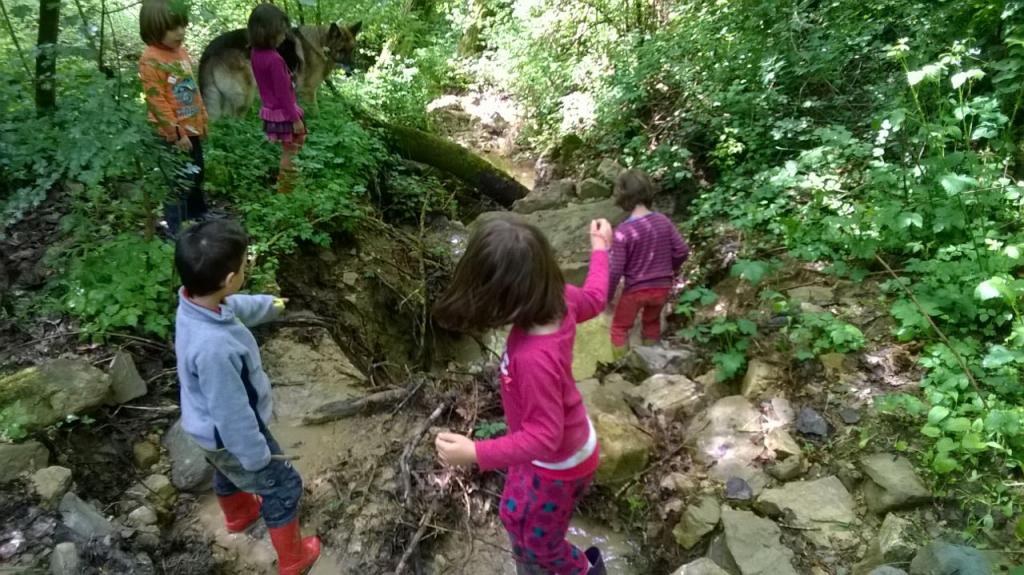 da asilo aelementari nel bosco 1494940313