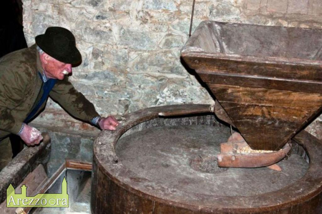 ecomuseo casentino e agricoltural heritage systems 1551095779