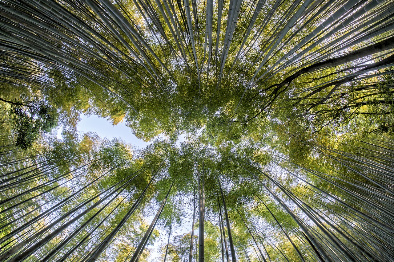 esperienze ecologia comunicazioni rapporto medico paziente 1556785015