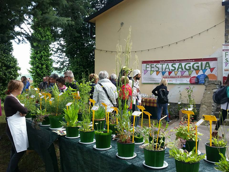 festa saggia 2017 bando 1488882362