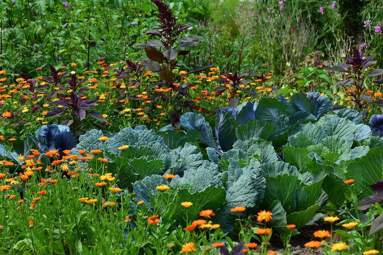 Food Forest: trasformare il proprio orto o giardino in un’oasi di bellezza e cibo!