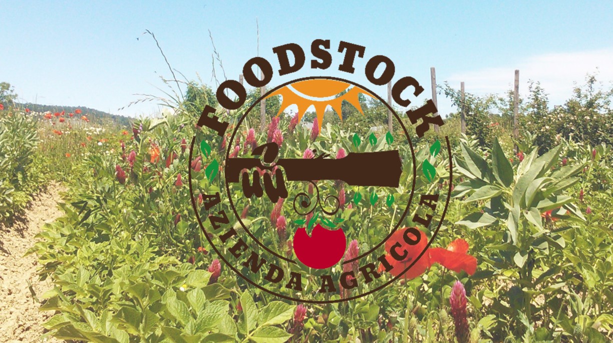 Foodstock, la rivoluzione dei cibi fermentati