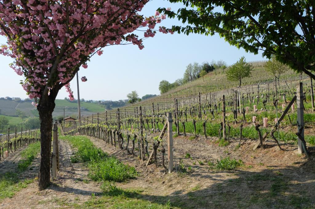 giro nizza monferrato 1524732006