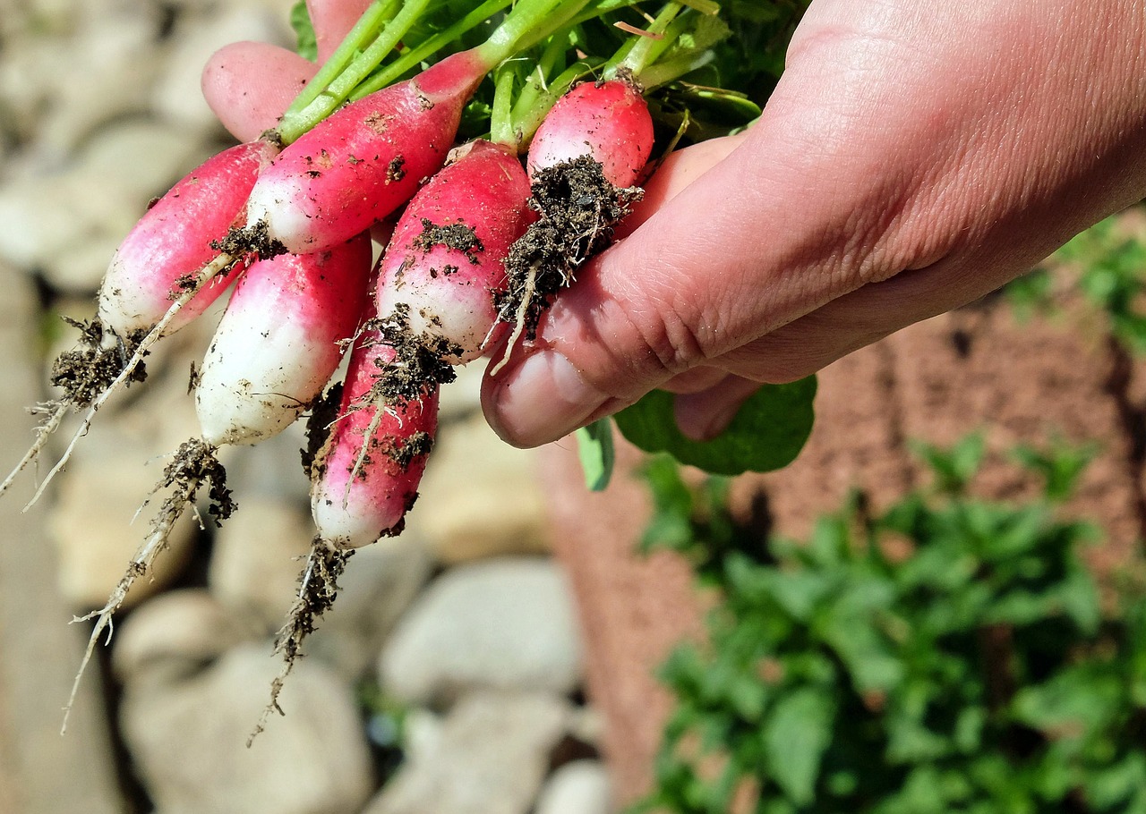 le buone erbacce scoperta vero cibo naturale gigi manenti 1557394699