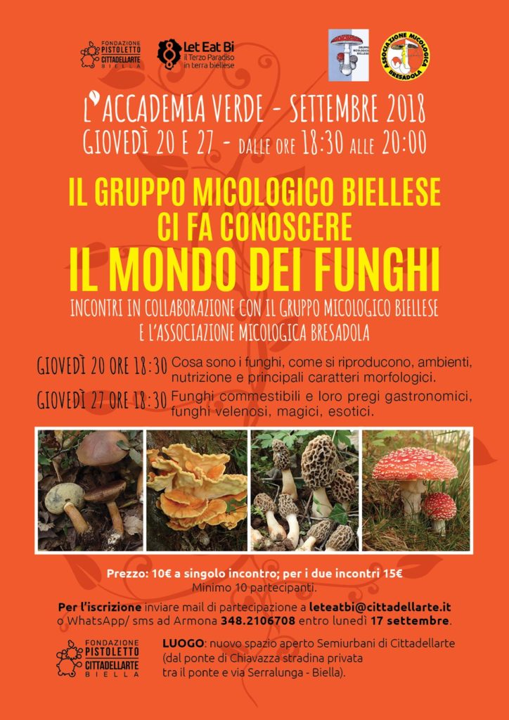 Let Eat Bi, un viaggio nel mondo dei funghi