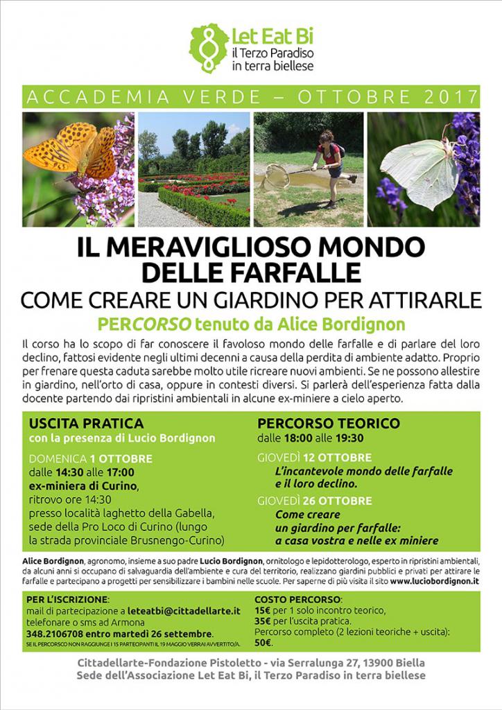 Il meraviglioso mondo delle farfalle