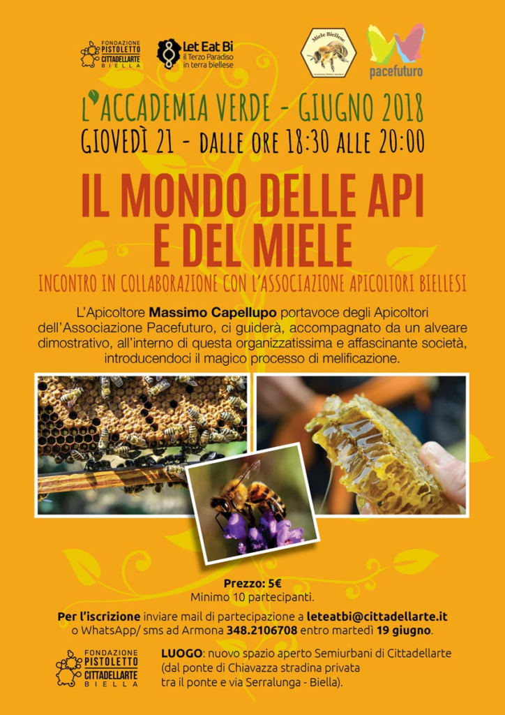 Il mondo delle api e del miele