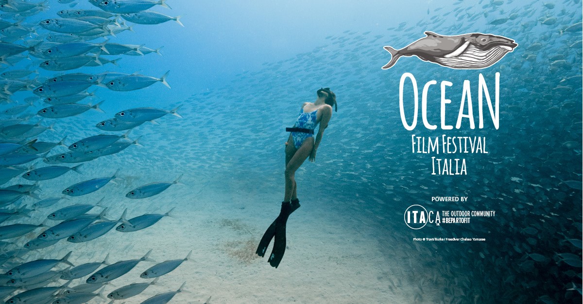 Ocean Film Festival: un viaggio per la salvaguardia del mondo marino