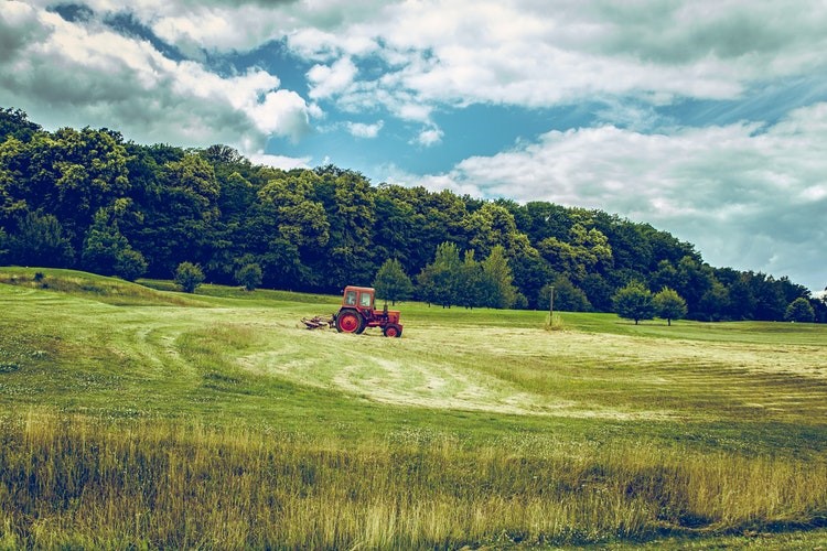 Ora in Piemonte una nuova legge per l’agricoltura