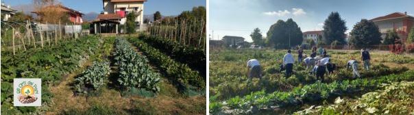 Gli orti di Harambee a Biella: un’esperienza educativa